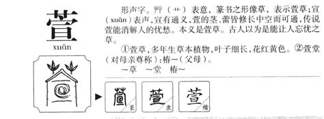 若萱 名字|若萱名字的寓意